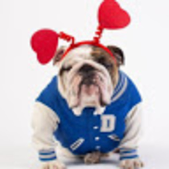 Meet your Posher, Heidi - Picture 1 of 1